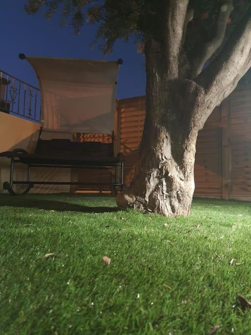Superbe appartement avec jacuzzi et extérieur Perpignan Extérieur photo
